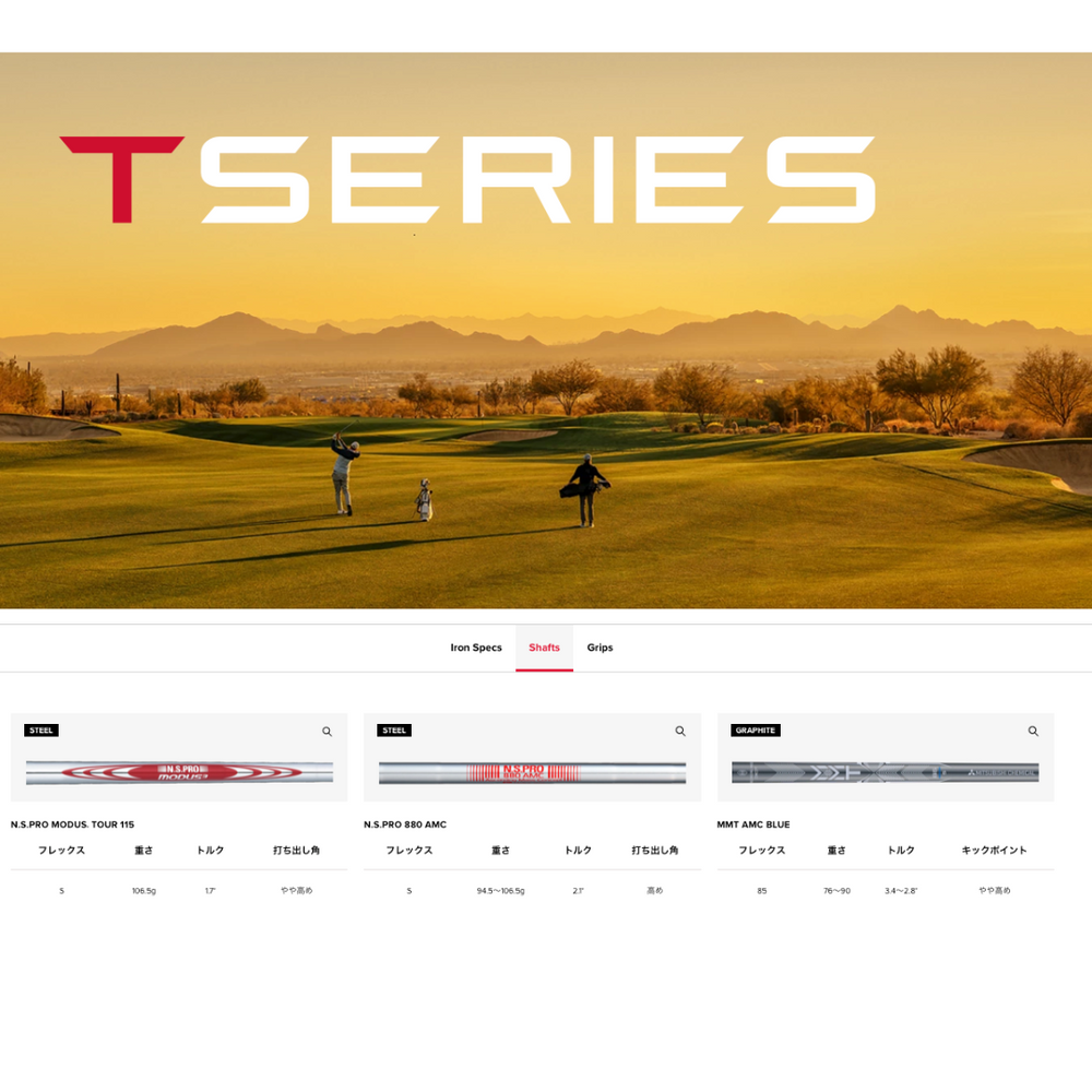 
                  
                    【お取寄せ】最新 2025 タイトリスト T250 アイアン 5番~Pw 6本セット 日本正規品
                  
                